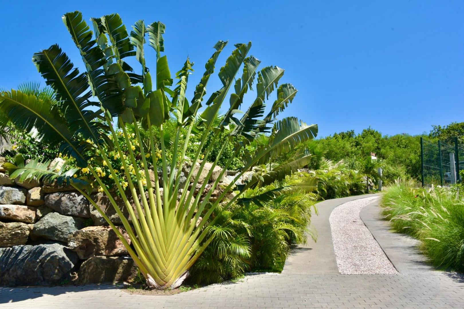 Orient Bay - Amazing Sea View - House 3Bd And 4Bd - Apartment 1 Bd Sea View - 1 Studio View Mountain Quarter of Orleans Luaran gambar